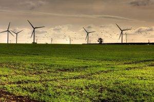 nature, Landscape, Grass, Wind Turbine, Turbines