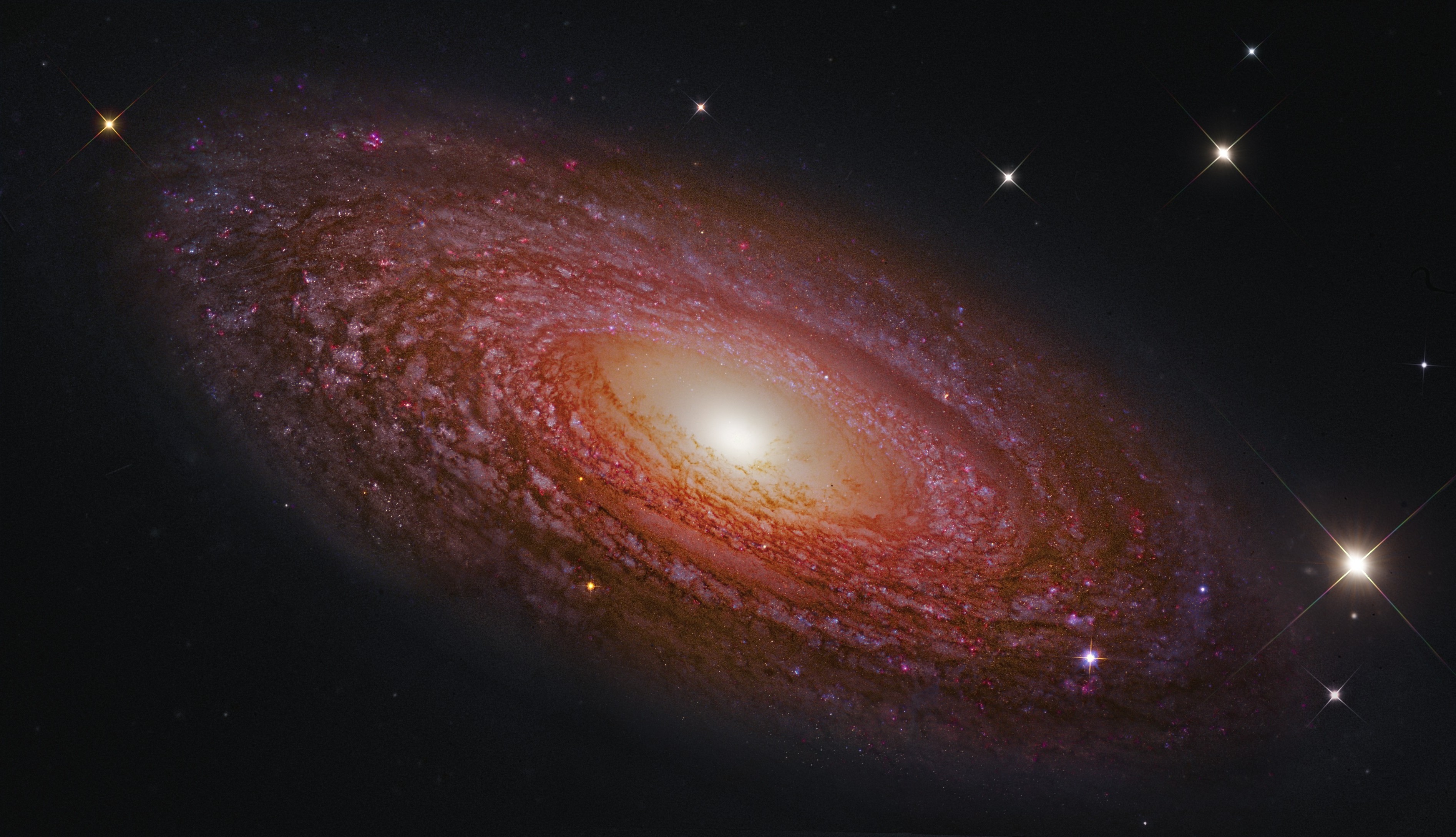 universe, Galaxy, NGC 2841, Astronomy Wallpaper