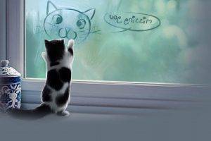 animals, Cat, Baby Animals, Kittens, Jars, Window, Digital Art