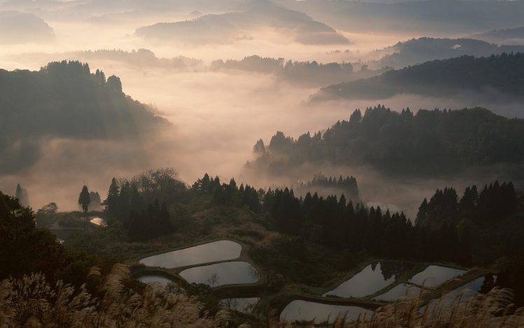 nature, Landscape, Mist, Sunrise, Valley, Forest, Mountain, Terraces, Water, Trees, Japan HD Wallpaper Desktop Background
