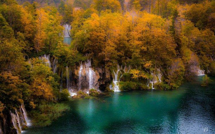 nature, Landscape, Trees, Forest, Waterfall, Lake, Water HD Wallpaper Desktop Background