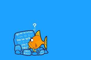 fish, Text, Humor