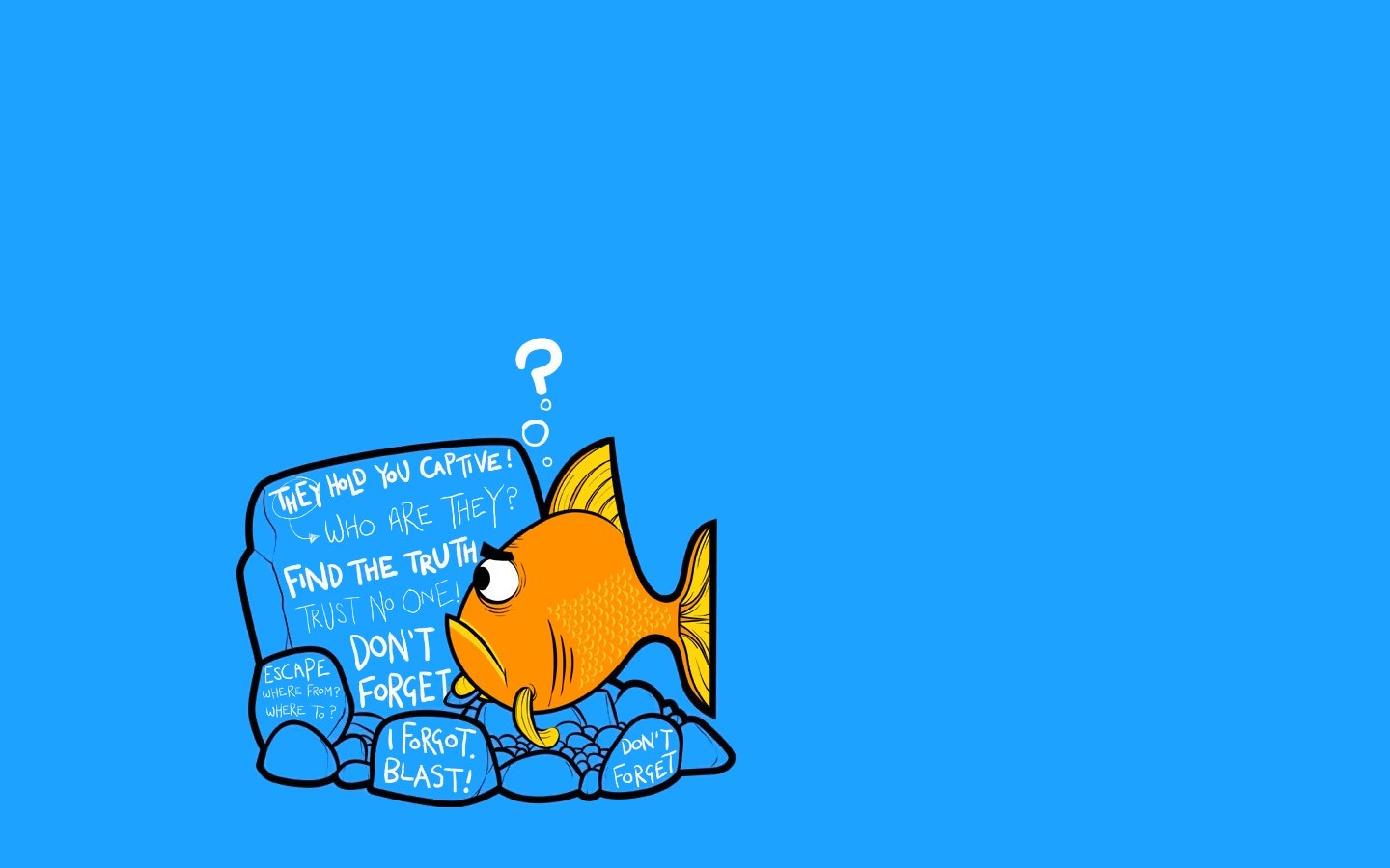 fish, Text, Humor Wallpaper