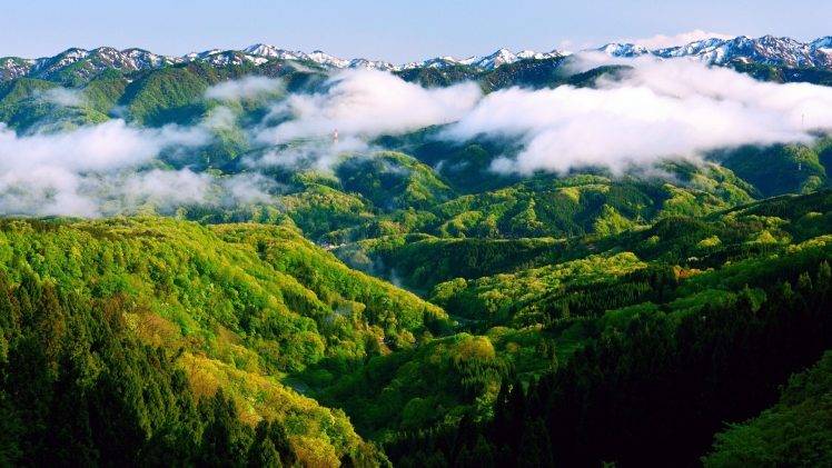 mountain, Hill, Trees, Forest, Mist, Photography, Landscape, Nature HD Wallpaper Desktop Background