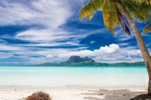 landscape, Nature, Bora Bora, Palm Trees, Beach, Sea, Tropical, Island, Summer, Mountain, Clouds, Sand, Vacations