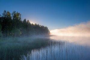 landscape, Nature, Lake, Mist, Sunrise, Forest, Water, Reeds, Trees, Russia