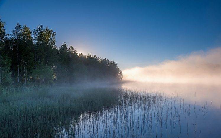 landscape, Nature, Lake, Mist, Sunrise, Forest, Water, Reeds, Trees, Russia HD Wallpaper Desktop Background