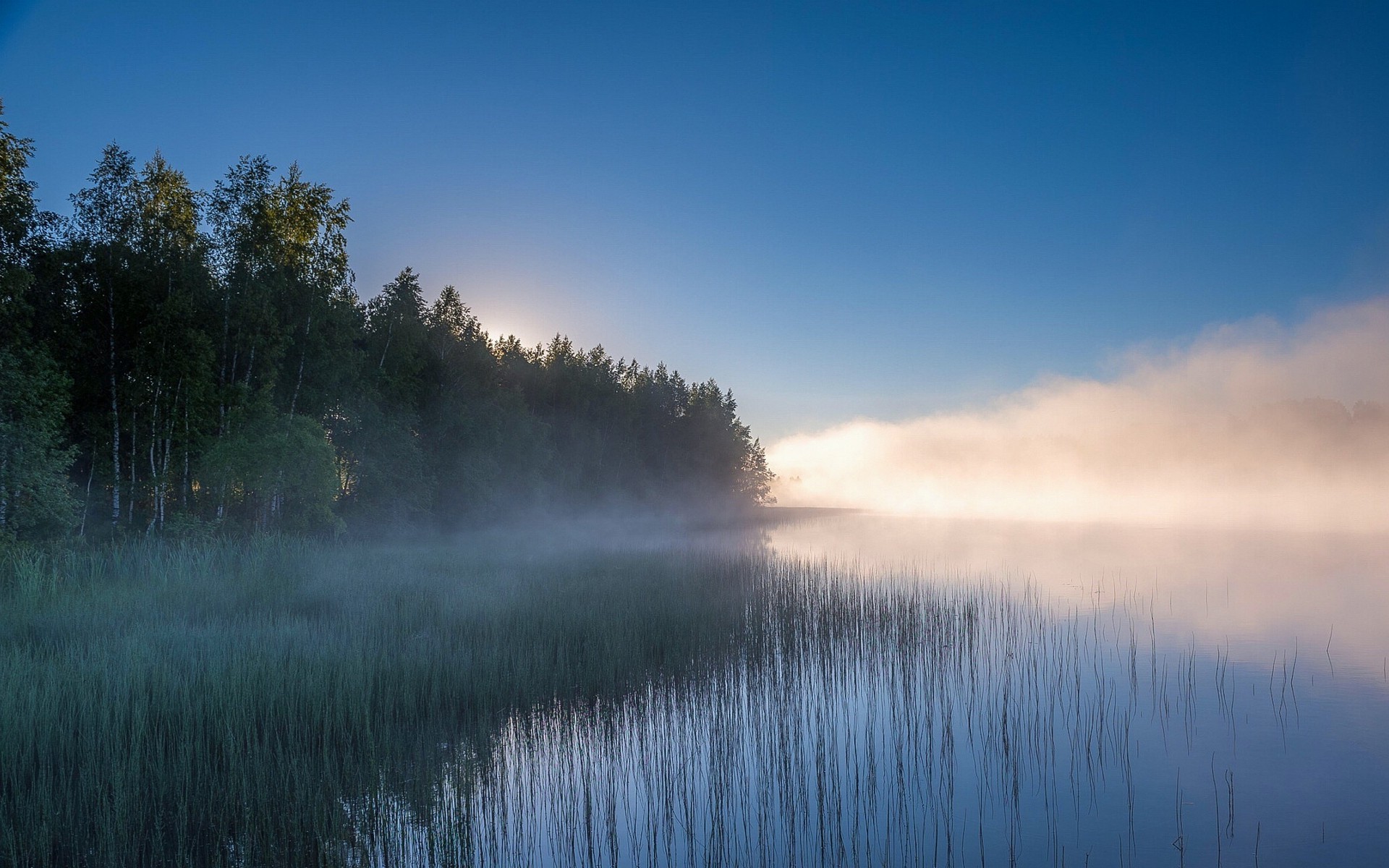 landscape, Nature, Lake, Mist, Sunrise, Forest, Water, Reeds, Trees, Russia Wallpaper