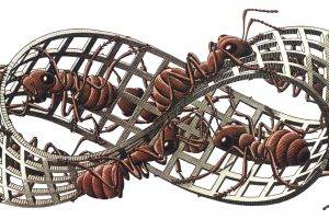 artwork, M. C. Escher, Insect, Ants, Grid, 3D, White Background, Mobius Strip