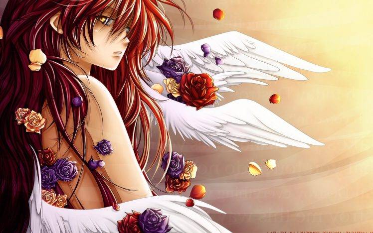angel, Wings, Anime, Anime Girls HD Wallpaper Desktop Background