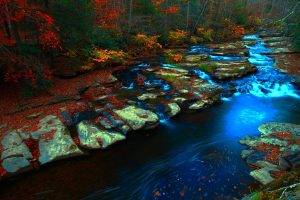 forest, Stream, Fall, Rock, Nature, Landscape