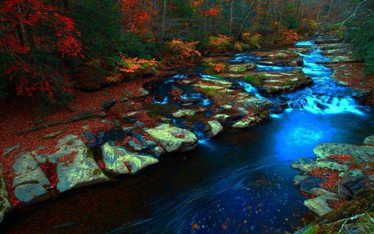 forest, Stream, Fall, Rock, Nature, Landscape HD Wallpaper Desktop Background
