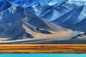 nature, Landscape, Mountain, Snow, Water, Lake, Snowy Peak, Field, Pamir Mountains, Tajikistan, Hill, Animals, Fence, Valley