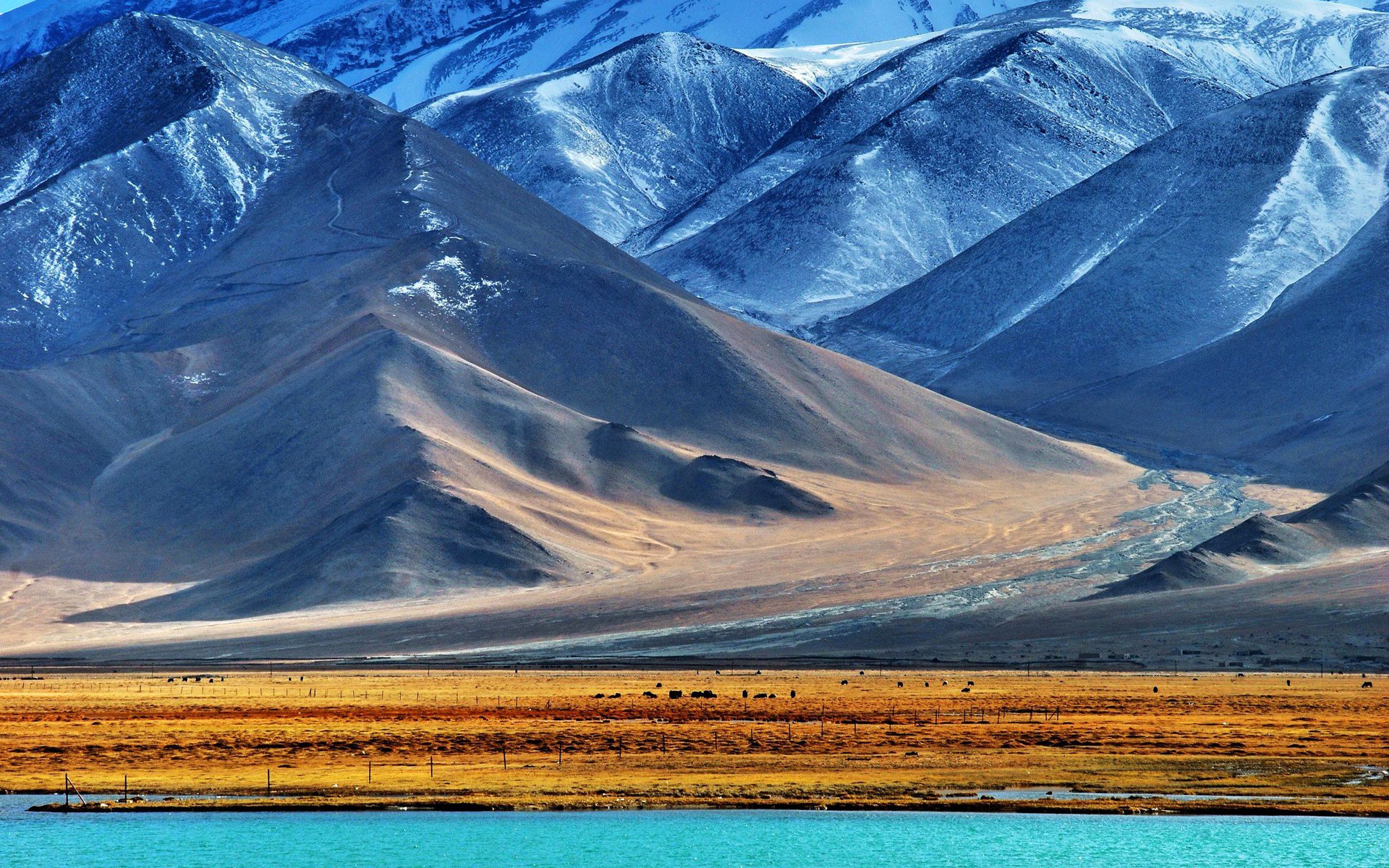 nature, Landscape, Mountain, Snow, Water, Lake, Snowy Peak, Field, Pamir Mountains, Tajikistan, Hill, Animals, Fence, Valley Wallpaper