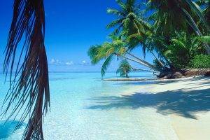 nature, Landscape, Sea, Beach, Palm Trees, Sand, Tropical, Island, Summer, Water, Vacations