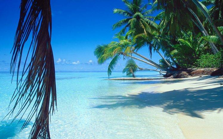 nature, Landscape, Sea, Beach, Palm Trees, Sand, Tropical, Island, Summer, Water, Vacations HD Wallpaper Desktop Background