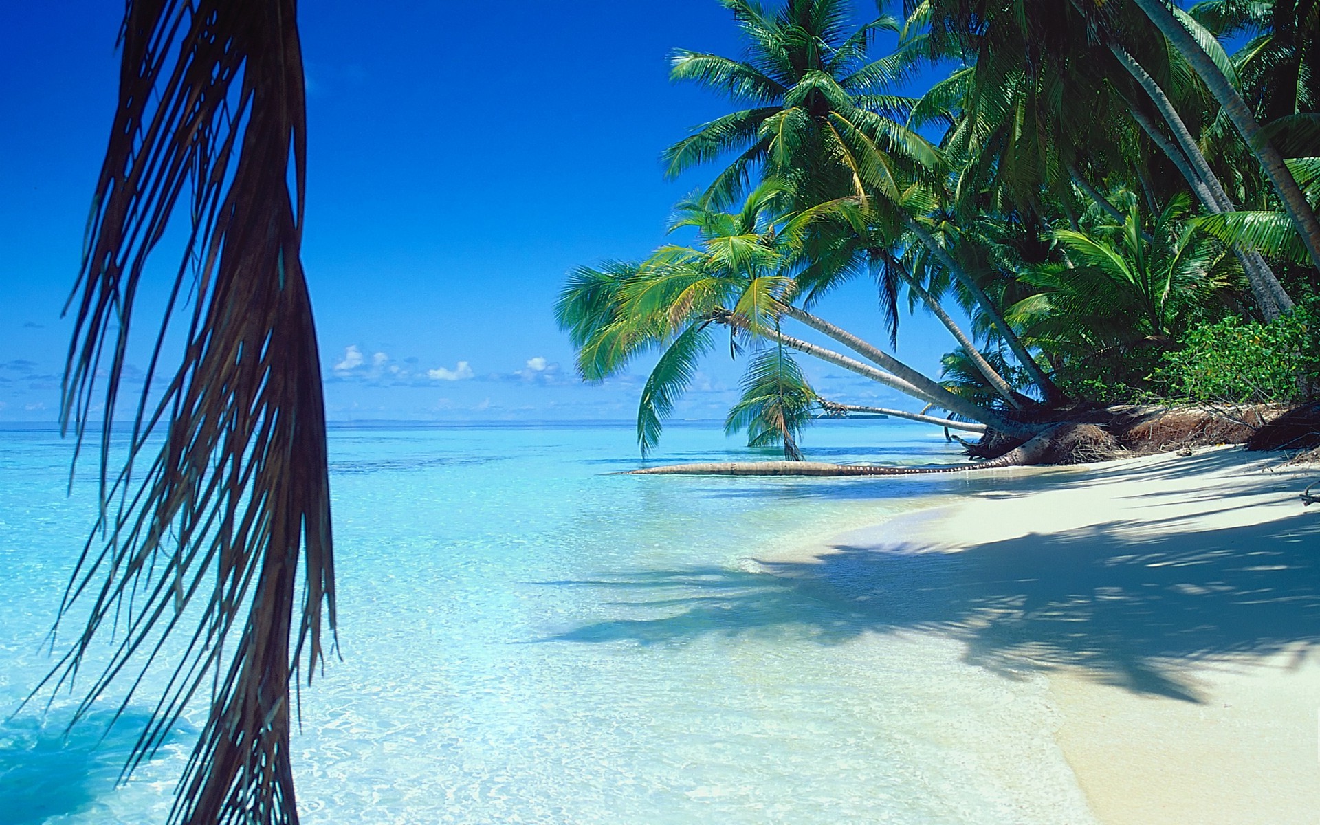 nature, Landscape, Sea, Beach, Palm Trees, Sand, Tropical, Island, Summer, Water, Vacations Wallpaper
