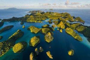 landscape, Nature, Island, Tropical, Sea, Sunset, Beach, Limestone, Rock, Hill, Shrubs, Indonesia, Green, Blue, Water