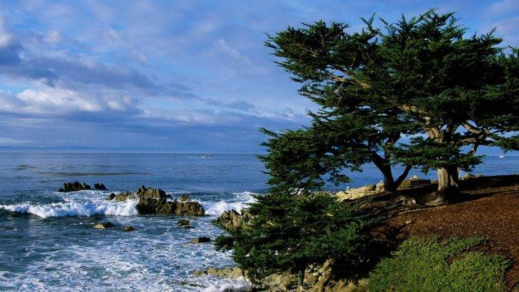 nature, Landscape, Coast, Sea, Rock, Trees, Clouds HD Wallpaper Desktop Background