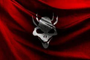 EVE Online, Blood Raiders, Flag