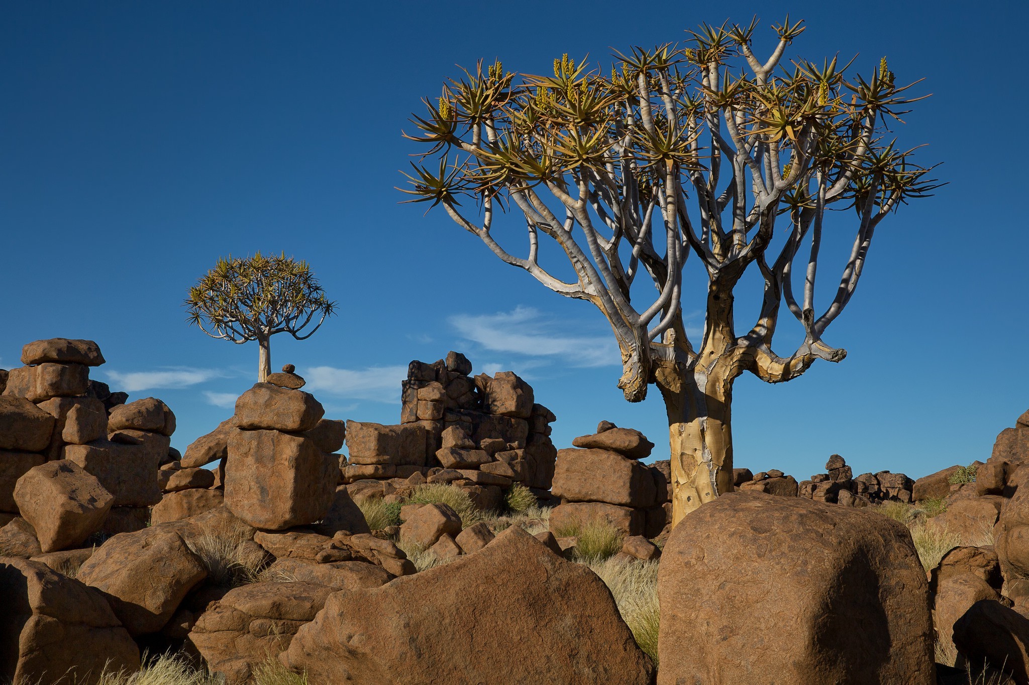 nature, Rock, Landscape, Trees Wallpaper