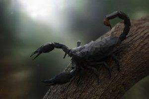 nature, Animals, Trees, Digital Art, Scorpions, Low Poly, Branch, Wood, Depth Of Field