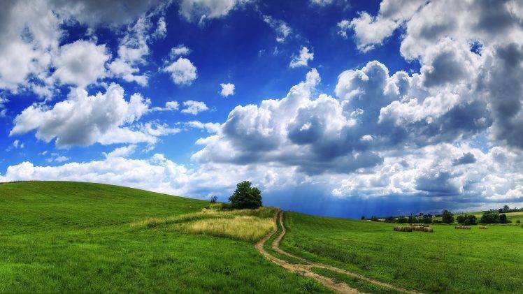 nature, Landscape, Field, Grass, Clouds, Trees, Path, Straw, Hill, Summer HD Wallpaper Desktop Background