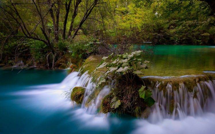 nature, Landscape, Waterfall, Long Exposure, Forest, Pond, Shrubs, Turquoise, Trees, Plitvice National Park, Croatia HD Wallpaper Desktop Background