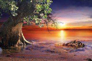 nature, Landscape, Sunset, Beach, Trees, Sea, Sky, Water, Colorful