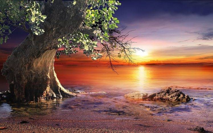 nature, Landscape, Sunset, Beach, Trees, Sea, Sky, Water, Colorful HD Wallpaper Desktop Background