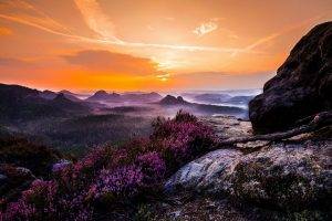 landscape, Nature, Mist, Sunset, Wildflowers, Valley, Forest, Mountain, Sky, Colorful