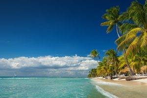 landscape, Nature, Island, Beach, Palm Trees, Sea, Summer, Clouds, Tropical, Vacations