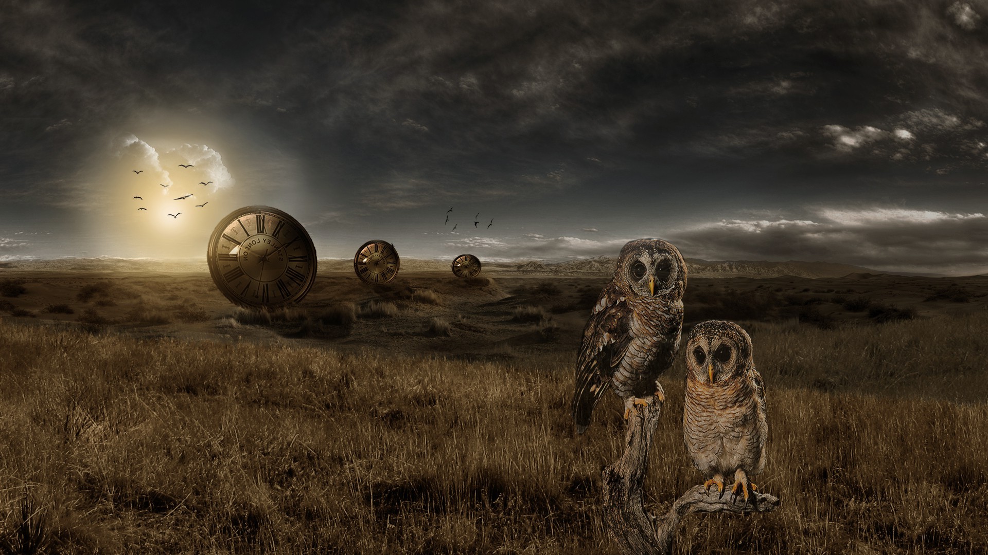 Adobe Photoshop, Landscape, Owl, Watch, Photo Manipulation Wallpaper