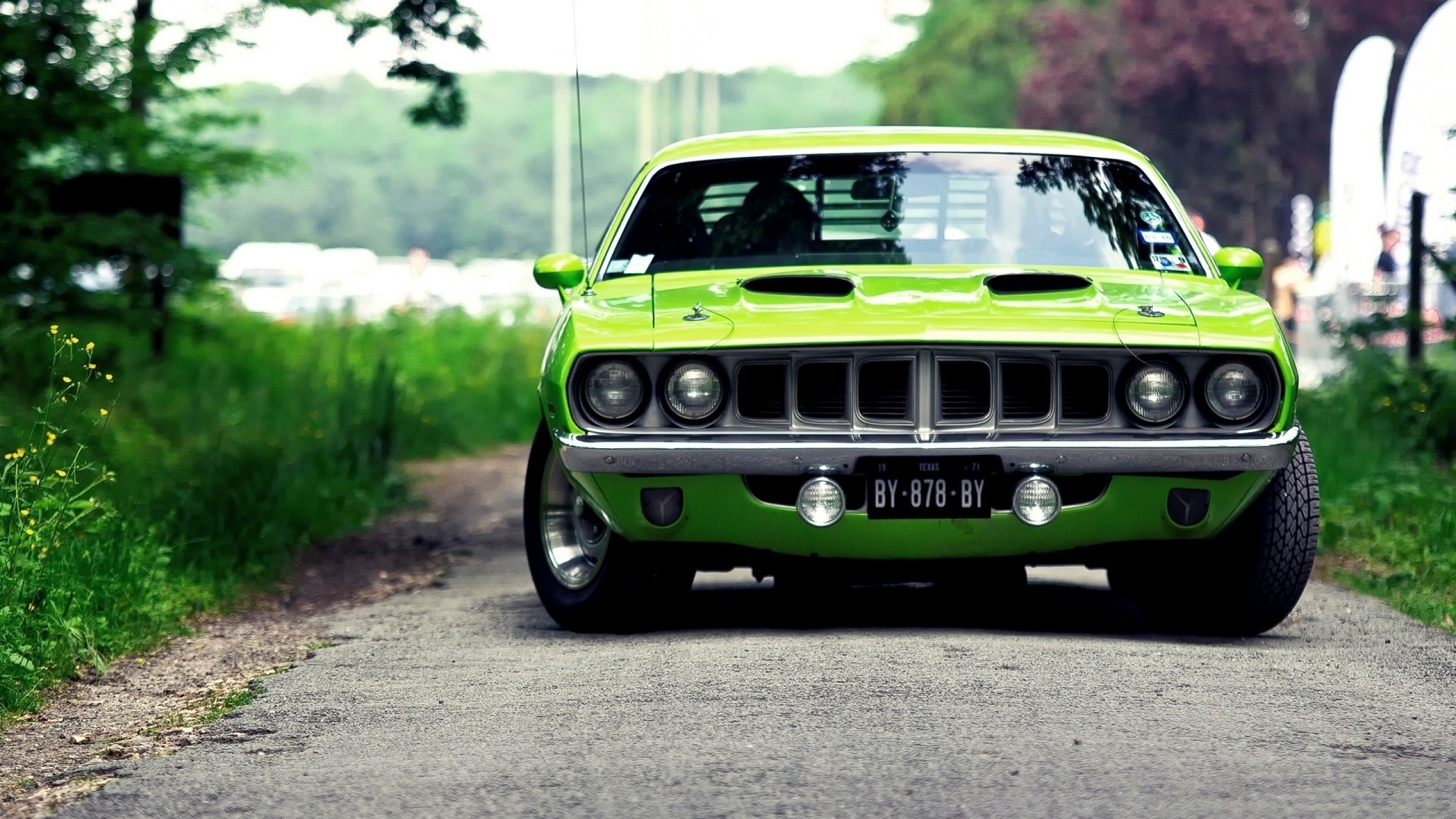 green, Muscle Cars, Car Wallpapers HD / Desktop and Mobile ...