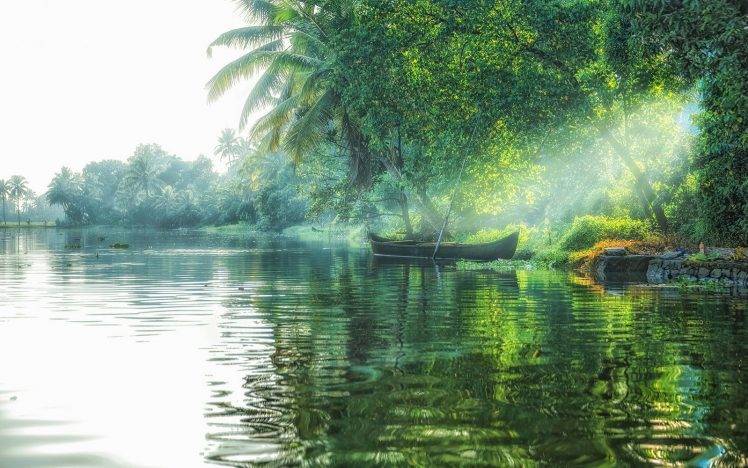 landscape, Nature, Lake, Sun Rays, Boat, Trees, Palm Trees, Mist, Green, Tropical, Water HD Wallpaper Desktop Background
