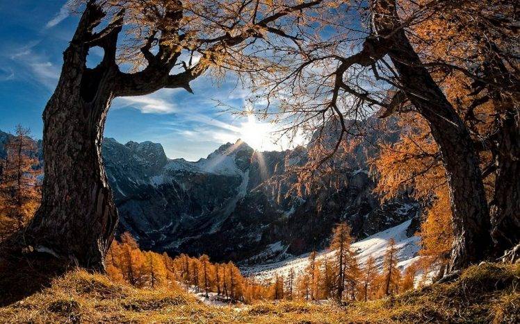 landscape, Nature, Mountain, Sunrise, Forest, Snowy Peak, Grass, Trees, Fall, Clouds HD Wallpaper Desktop Background