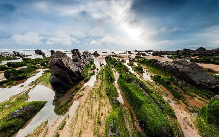 nature, Landscape, Rock, Seaweed, Sea, Water, Clouds HD Wallpaper Desktop Background