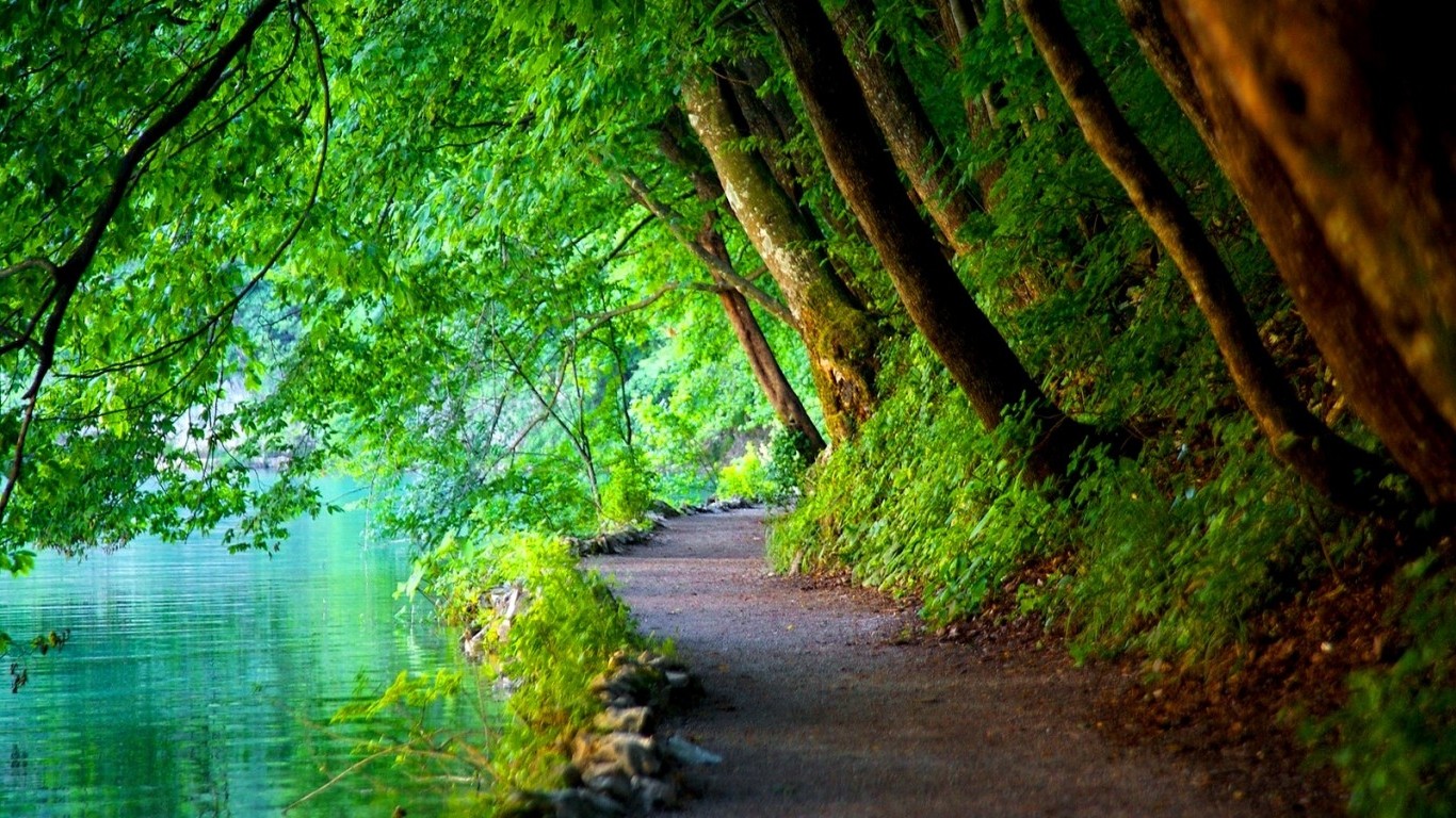 nature, Trees, Path, River, Landscape, Croatia Wallpaper
