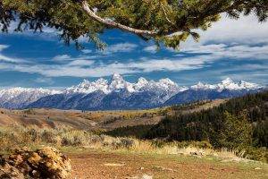 nature, Landscape, Mountain, Forest, Snowy Peak, Grand Teton National Park, Clouds, Trees, Grass, Fall, Wyoming