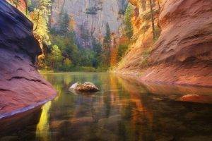 nature, Landscape, Colorful, River, Arizona, Trees, Fall, Rock, Canyon, Water