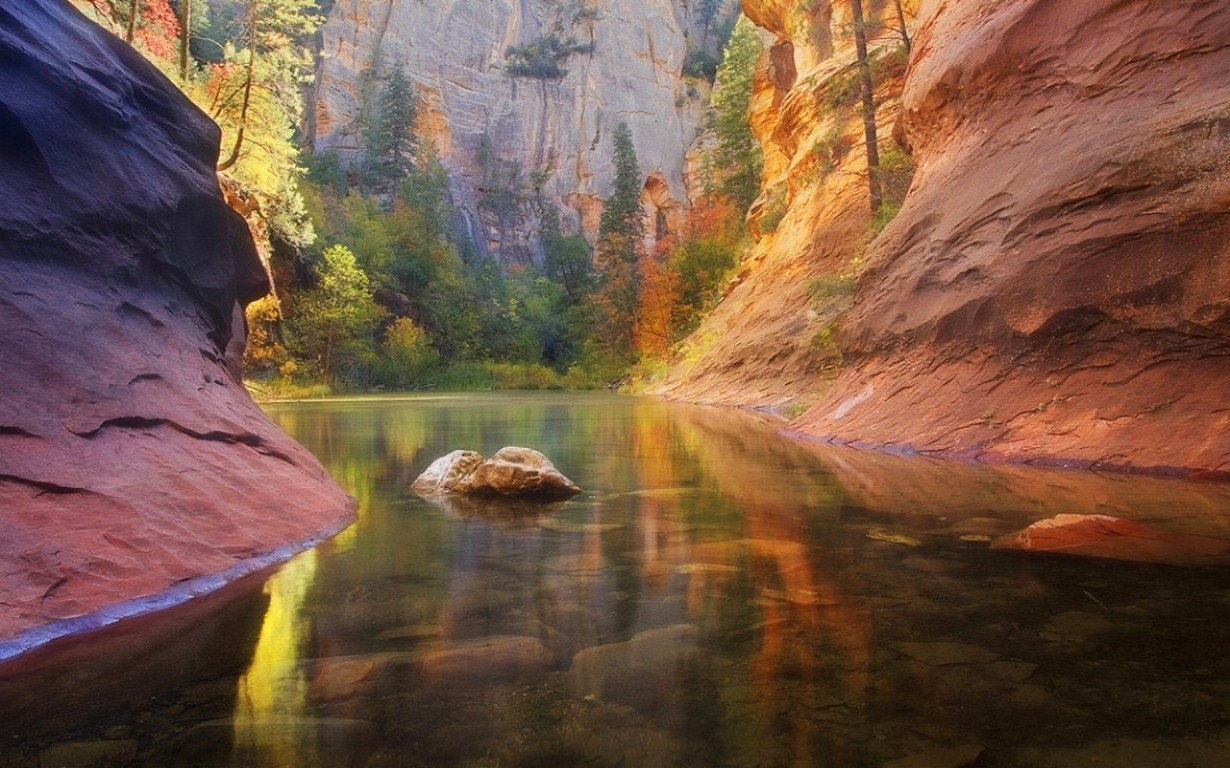nature, Landscape, Colorful, River, Arizona, Trees, Fall, Rock, Canyon, Water Wallpaper
