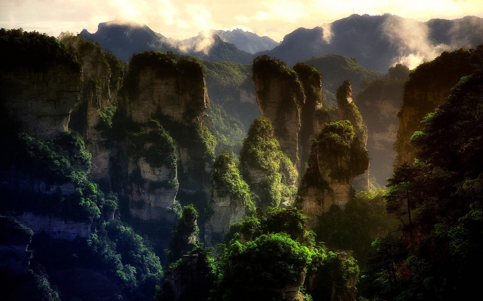 nature, Landscape, Mountain, Forest, Sunset, Mist, Limestone, Rock, China, Avatar, World Heritage Site, Trees Wallpaper