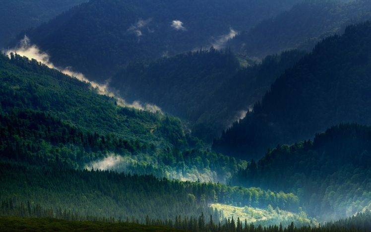 landscape, Nature, Carpathians, Mountain, Mist, Forest, Spring, Green, Trees HD Wallpaper Desktop Background