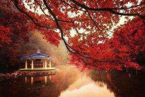 nature, Landscape, Fall, Trees, Lake, Hill, Maple Leaves, Red, Mist, Water