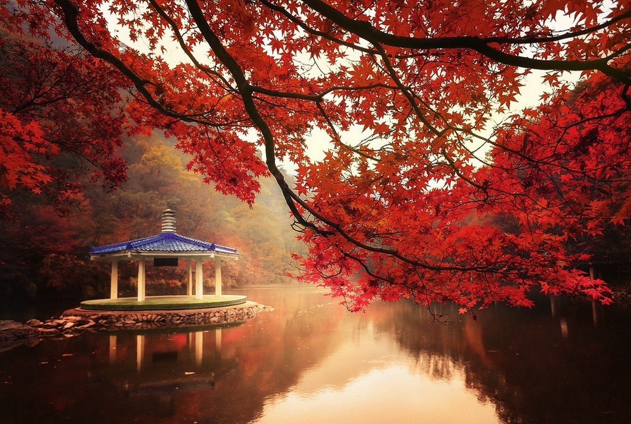 nature, Landscape, Fall, Trees, Lake, Hill, Maple Leaves, Red, Mist, Water Wallpaper
