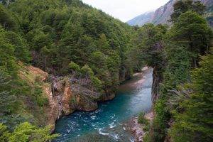 nature, Landscape, Mountain, Forest, River, Chile, Trees, Green, Water, Turquoise
