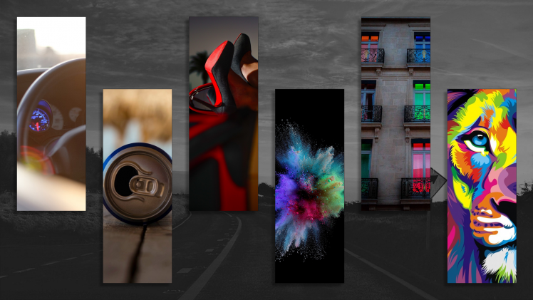 car, Can, Boots, House, Lion, Animals HD Wallpaper Desktop Background