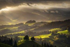 Switzerland, Landscape, Forest, Mist, Nature, Mountain, Villages, Sun Rays, Clouds, Spring, Green