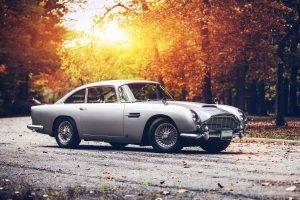 car, Fall, Sunset, Aston Martin, Aston Martin DB5