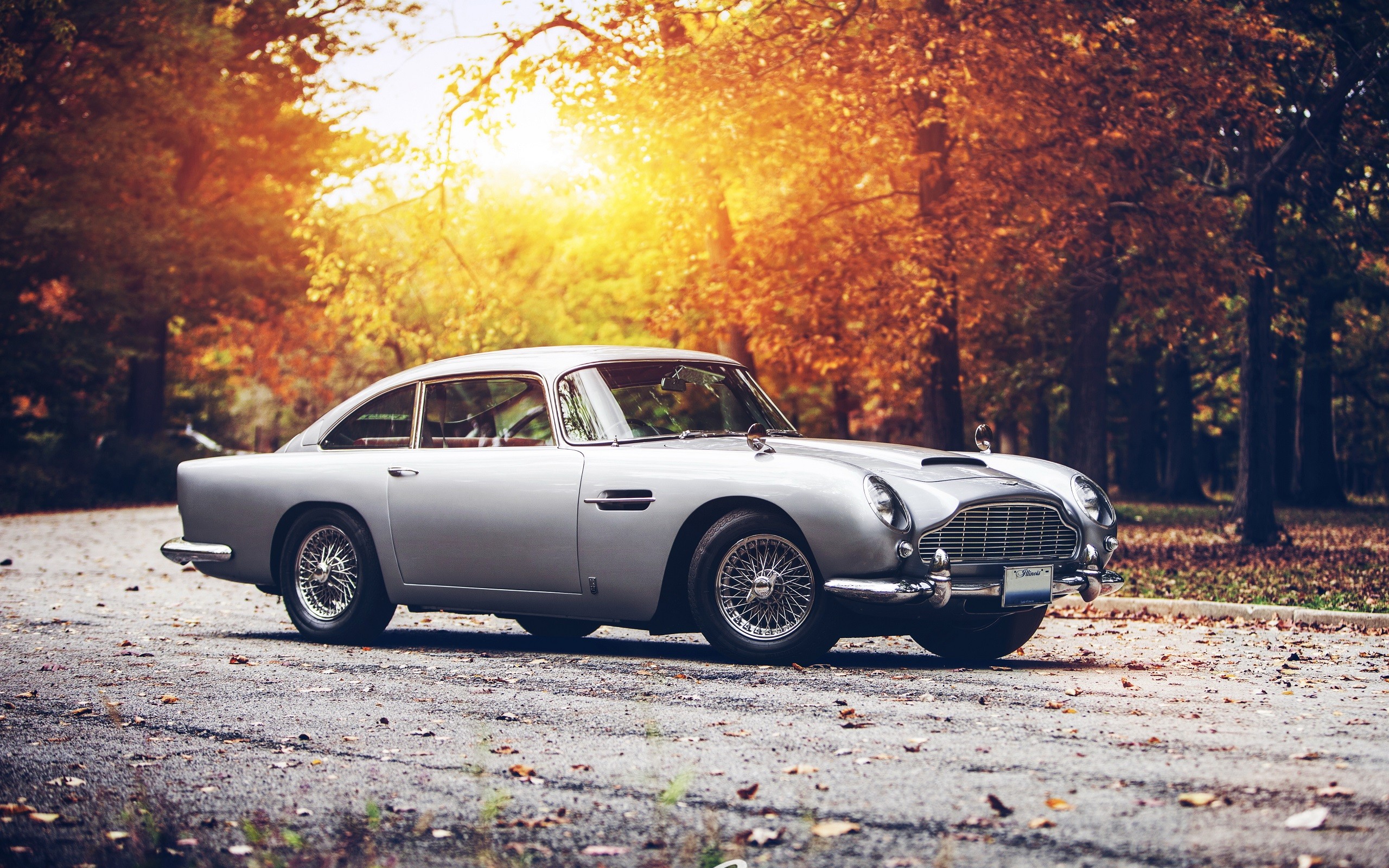 car, Fall, Sunset, Aston Martin, Aston Martin DB5 Wallpaper